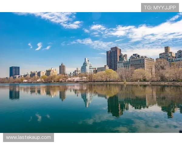 如何通过PA官方网站快速获取最新行业动态与官方公告 如何通过PA官方网站快速获取最新行业动态与官方公告