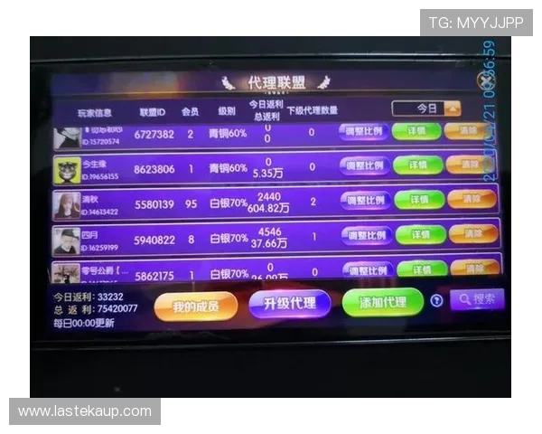 选择AG贵宾厅游戏账号时需要注意哪些安全隐患